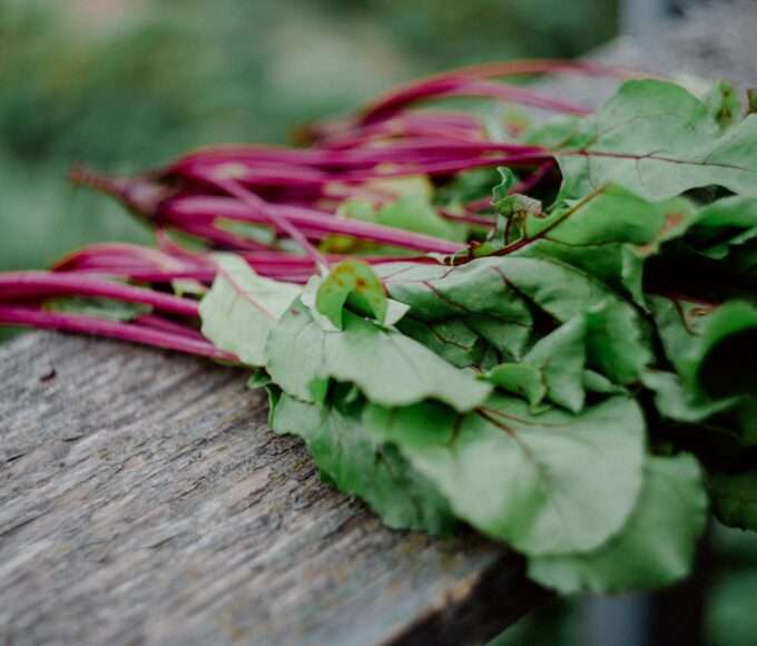 Improving Brain Health With The Mediterranean Diet Improving Brain Health With The Mediterranean Diet